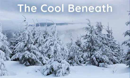 The Role of the Boreal Forest in Insulating Northern Hemisphere Permafrost